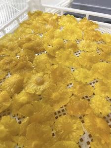 Rodajas de Piña Seca de Vietnam |   Snack Tropical Dulce Natural |   Suministro al por Mayor y Exportación Directa de Fábrica - Sra. Tarina - Product Image 4