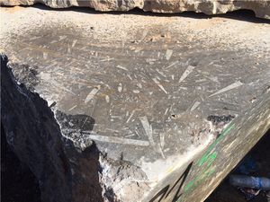 Bloque de Mármol Negro Fósil Devoniano, Patrón Fósil Natural, Material de Piedra Cruda de Mármol Oscuro para Procesamiento de Losas - Product Image 3