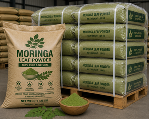 Poudre d'extrait de feuilles de Moringa pure et naturelle, vente en gros, fournisseur de suppléments, poudre d'extrait de feuilles de Moringa biologique - Product Image 6