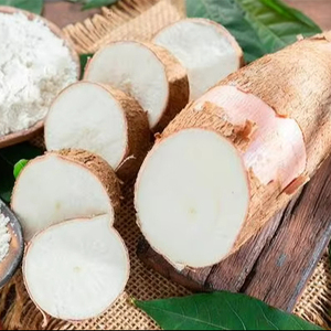 Almidón de Tapioca Vietnamita de Primera Calidad, Puro, Versátil, Saludable e Ideal para el Procesamiento y Exportación de Alimentos. - Product Image 4