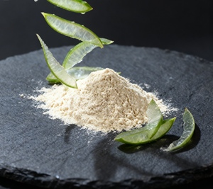 Poudre d'extrait d'aloe vera de qualité cosmétique supérieure 200X, à usages multiples pour les formulations de soins personnels - Product Image 1