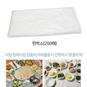 Korean Disposable Vinyl Table Cover Roll 250 Sheets Per Box <b>Waterproof</b> <b>Tablecloth</b> for Restaurant Home Party Use - Product Image 3