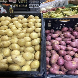 OEM Manufacturer Supplier <b>Fresh</b> New Crop <b>Vegetables</b> Wholesale Potato <b>Fresh</b> Price in Pakistan for Export <b>Fresh</b> Potatoes - Product Image 1
