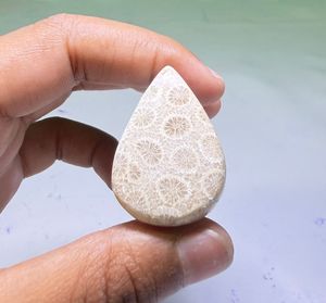 Cabochons de corail fossile naturel, cristaux minéraux polis, pierres précieuses de haute qualité, formes variées, matériaux en vrac pour la fabrication de bijoux - Product Image 3