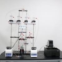Sistema Experimental de Corazón Ex Vivo para Estudios de Salida Cardíaca Fisiológica y Rendimiento del Miocárdio