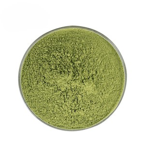 Approvisionnement en gros OEM/ODM – Poudre de feuilles de Moringa 100 % pure de qualité alimentaire, naturelle, pour soutenir l'immunité des hommes et des femmes - Product Image 1