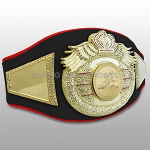 Ceinture de championnat avec logo personnalisé, plaques en laiton alliage 3 mm, ceinture de titre pour la lutte et la boxe - Product Image 2