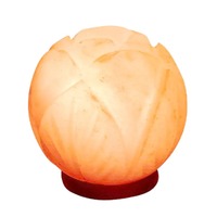 Lampe d'appoint en cristal naturel de sel rose de l'Himalaya pakistanais, motif lotus
