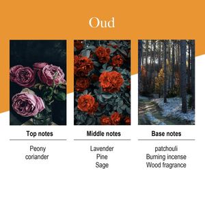 ชุดน้ำหอมปรับอากาศกลิ่นไม้ 6.7 ออนซ์ สร้างบรรยากาศห้องนอนที่เงียบสงบ พร้อมกลิ่นหอมยาวนาน 90 วันจากก้านไม้หอม - Product Image 6