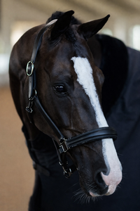 Bridas de Cuero para Caballos de Alta Calidad, Personalizadas, para Deportes Ecuestres al Aire Libre, en Oferta - Product Image 2