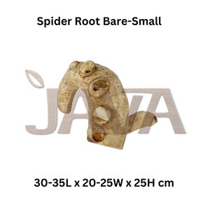 อุปกรณ์สำหรับสัตว์เลื้อยคลานและสัตว์ครึ่งบกครึ่งน้ำที่เป็นมิตรกับสิ่งแวดล้อม ทนทาน ไม้กิ่งเล็กสำหรับปีนป่ายสำหรับดูแลสัตว์เลื้อยคลาน โดย Java - Product Image 2