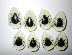 Cabochon en plastique de spécimen réel de Scarabée coloré, taille poire, 46x30 mm, fond plat, pour artisanat et fabrication de bijoux - Product Image 1