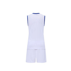 Uniforme de Voleibol Personalizable para Mujer Adulta, Diseña Tu Propia Ropa de Equipo, Marca Propia, Venta al Por Mayor, Hecho en Pakistán - Product Image 6