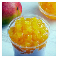 Vietnam Nata De Coco in siroop, kokosgelei blokjes selectie, aanpasbaar, 1KG verpakking, lange houdbaarheid voor dranken & desserts