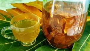 Hojas de panacá secas de alta calidad, origen Vietnam, OEM B2B, 100% naturales y puras, sin aditivos, exportación global - Product Image 6