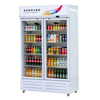 Réfrigérateur vertical commercial à LED, refroidi par air, à température unique, pour la présentation de boissons en supermarchés