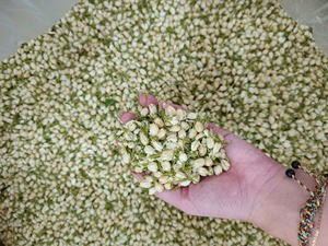 Capullos de Jazmín Secos Naturales Orgánicos de Vietnam, Proveedor de Té Saludable para la Belleza de la Piel - Product Image 6