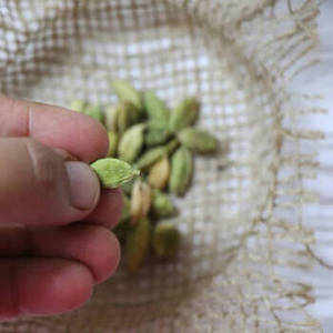 Cardamomo Verde Indio Fresco de Nueva Temporada, Vainas Enteras, Apariencia Verde Vibrante, Aroma Intenso, Especia de Grado Premium para Exportación, Crudo, Gujarat - Product Image 4