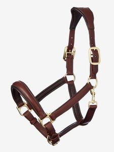 Harnais en cuir personnalisé avec logo, fournisseur en gros d'équipements équestres de Divine International - Product Image 2