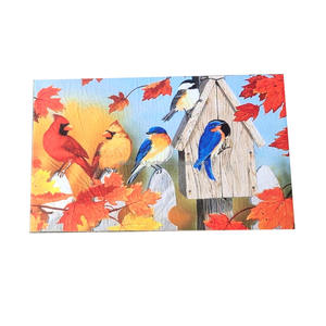 Premium Quality Handmade Polypropylene Door <b>Mats</b> 45cm * 75cm Modern Welcome <b>Mats</b> From India - Product Image 6