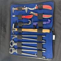 Kit d'outils de ferrage 10 pièces avec sac de transport - Ensemble professionnel d'entretien des sabots, qualité supérieure, instruments approuvés ISO/CE, prix de gros