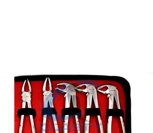 Professional Molar Extraction Forceps Stainless Steel Dental <b>Tooth</b> Removal <b>Tool</b> Hand Crafted Surgical Instrument - Product Image 5