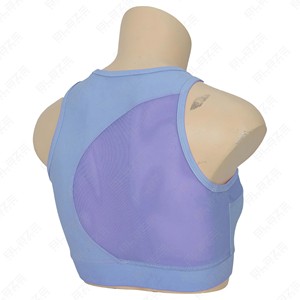 Sujetador deportivo de alto impacto para mujer, talla grande, sin costuras, para yoga, acolchado, top de gimnasio, ropa deportiva transpirable, diseño 2026, al por mayor - Product Image 1