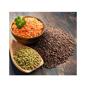 Lentilles rouges biologiques de haute qualité en gros, sans coquille (rouges, vertes, noires et blanches) - Product Image 1