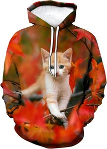 Sudadera con Capucha para Hombre, Estampado Galáctico, Corte Regular, Estilo Casual, Tejido de Poliéster, Diseño Sublimado, Bolsillo Frontal - Product Image 5