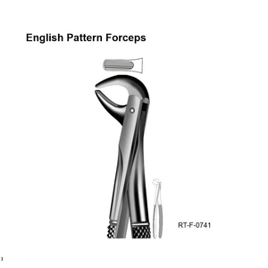 Forceps d'extraction dentaire ergonomiques en acier inoxydable, modèle anglais, certifiés CE, Roboz Tech Pakistan - Product Image 2