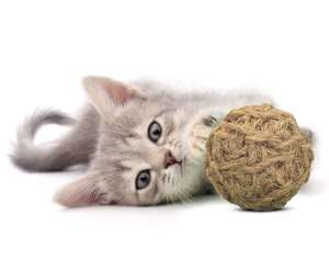 Boules de fibres de coco artisanales pour chats – Solution écologique pour animaux de compagnie - Product Image 1