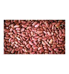 ถั่วแดงแห้งทรงยาวแบบขายส่ง ถั่วแดงอังกฤษสำหรับส่งออก - Product Image 4