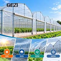 Serre multi-travées en film plastique avec structure en acier galvanisé et couverture en film PE pour la culture commerciale de légumes, fleurs et produits agricoles