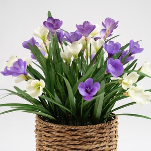 Cesta de mimbre marino para flores decorativas, cesta de almacenamiento hecha a mano, venta al por mayor, ecológica, hecha en Vietnam - Product Image 5