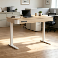 PRORIALS Bureau électrique ergonomique à moteur unique, 2 niveaux, avec grand tiroir invisible en métal, réglable en hauteur, pour le travail assis-debout, bureau et domicile