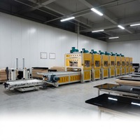 Machine à polir et à lustrer Belino, machine à lustrer le bois, ligne de production pour meubles en bois