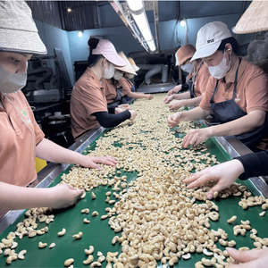 Vietnam Trusted Supplier Raw Cashew <b>Nuts</b> Cashew <b>Nuts</b> Organic Cashew <b>Nuts</b> Exported To Dubai, EU, Middle East - Product Image 5