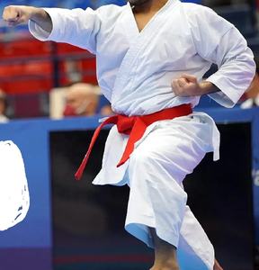 100% algodón Karate uniforme traje de boxeo Color personalizado Unisex entrenamiento Logo Jodo vestido ropa deportiva conjunto nuevo diseño bordado uniforme - Product Image 2