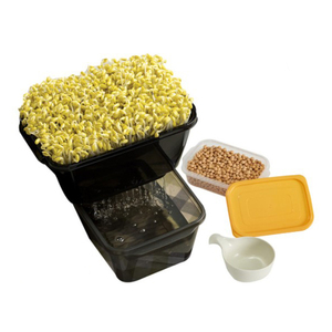 Kit Facile e Gratuito per la Coltivazione di Germogli di Fagioli - Product Image 1