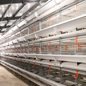 Système de cages avicoles automatisées avec alimentation, abreuvement et convoyeur à œufs centralisés - Product Image 6