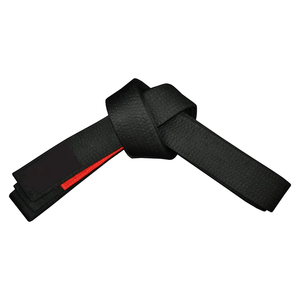 High-Quality Karate Training <b>Belt</b> with Custom Colors and LogosPremium Cotton Material Factory Sale Customized Superior Quality - Product Image 1