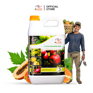 Conditionneur de sol bio organique GDM Premium 1 kg pour le développement des racines, la nutrition des plantes et la productivité des cultures - Product Image 2