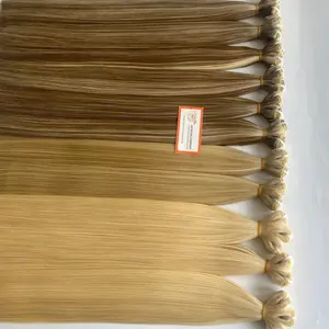 Vietnamese Top Hair Supplier Straight Weft Hair Extensions Colors Straight Human Hair Extension with 3 Big Factories