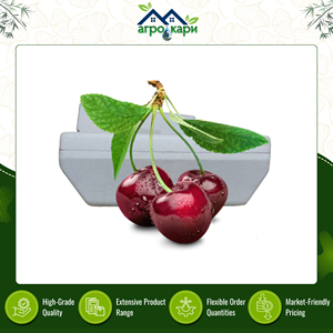 กล่องโฟม EPS คุณภาพดี น้ำหนักเบา สำหรับเก็บและขนส่งผัก/ผลไม้สด พร้อมฝาปิด ขายส่ง - Product Image 6