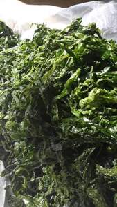 Wholesale Ulva Lactuca Dried Green Seaweed Powder with High Quality/ Ms. Lima - Product Image 3