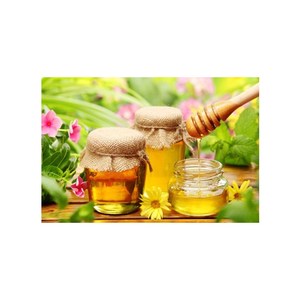Miel Pura de Alta Calidad para Preparación de Alimentos y Bebidas, Endulzante Natural para Hornear, Cocinar y Uso Culinario Diario - Product Image 1