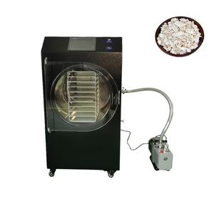 Máquina de Secado por Congelación para Café Instantáneo, Secador por Congelación para Dulces, <span class=keywords><strong>6</strong></span> <span class=keywords><strong>Kg</strong></span>. - Product Image 3