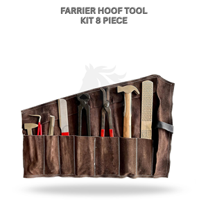 Kit d'outils pour sabots FARRIER, 8 pièces, en acier inoxydable, pour l'entretien des sabots des chevaux - Product Image 2