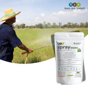 สเปรย์จุลินทรีย์รวมชนิดสำหรับเสริมผลผลิตพืช - Product Image 2