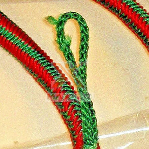 Aiguillette อีกัวน่าคุณภาพสูงมาใหม่ - Product Image 5